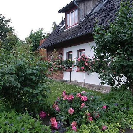 Daire Ferienwohnung-strandkorb